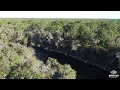 Suwannee River State Park Where Ted Bundy s Final Victim Kimberly Leach was Found