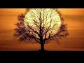 Download Lagu Here and Now - Performed by Amanda McBroom