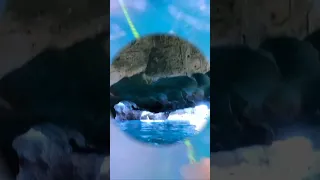 Sailing Aquarius in Bahamas