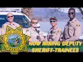 Recruitment Trainee 2021
