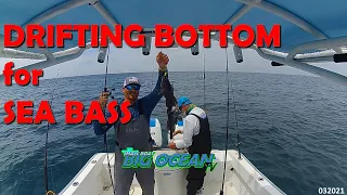 Episode 3 – NJ Sea Bass