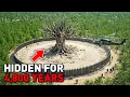 Why Is the U.S. Hiding This Tree? The Area Around It Is Banned!