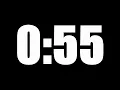 55 SECOND TIMER LOUD ALARM