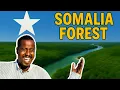 Lagu SAFARKAYGA KAYMAHA QARSOON EE SOMALIA 🇸🇴 MY JOURNEY TO THE HIDDEN FORESTS OF SOMALIA - ( ISTANBOOL )