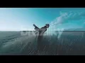 SWITCH DISCO - REACT ft. Ella Henderson (TCTS x Parx Remix)