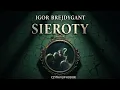 Sieroty Lektor Filip Kosior Kryminały po Polsku AudioBook PL