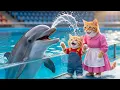 Lagu 🐱💦 From Dream to Splash: Mama Cat Takes Her Kitten to a Magical Water Park 💖✨