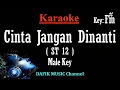 Download Lagu Cinta Jangan Dinanti (Karaoke) ST 12 Nada Pria/ Cowok/ Male key F#m