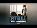 Pitbull - Hotel Room Service