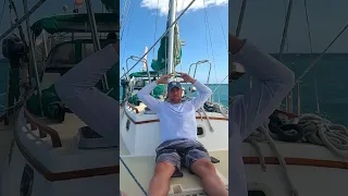 Sailing highlights