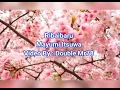 Download Lagu Ribaibaru - mayumi itsuwa