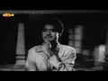 चल उड़ जा रे पंछी कि अब ये देश हुआ बेगाना - HD वीडियो सोंग
