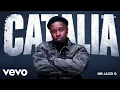 Mr Jazzi Q, Xduppy, Royal Musiq, Boohle, & Ceeka RSA - Catalia (Amapiano type instrumental 2026)
