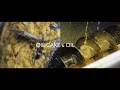 Soy processing How to get soy oil and oil cake meal