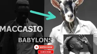maccasio babylons toff breakdown who own this goat 