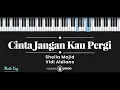 Download Lagu Cinta Jangan Kau Pergi - Sheila Majid, Vidi Aldiano (KARAOKE PIANO - MALE KEY)