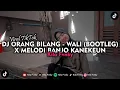 Download Lagu DJ ORANG BILANG - WALI (BOOTLEG) X MELODI BANJO KANEKEUN VIRAL TIKTOK 2023