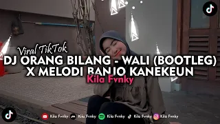 Download DJ ORANG BILANG - WALI (BOOTLEG) X MELODI BANJO KANEKEUN VIRAL TIKTOK 2023 MP3