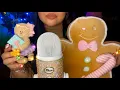 ASMR Gingerbread Theme Trigger Sound Assortment