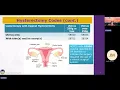 HCGTV Webinar Snippet - Hysterectomy Codes