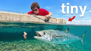 I Tested if Tiny Piers Have Giant Fish!