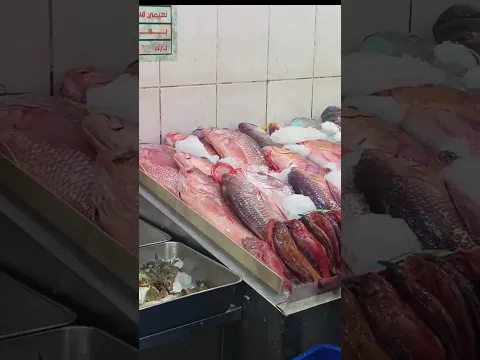 Ikan tongkol murah di mekkah!