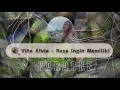 Vita Alvia - Rasa Ingin Memiliki Karaoke No Vocal