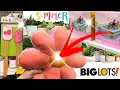 BIG LOTS NEW FINDS for SUMMER