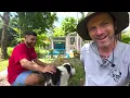 Huge update on 10 special rescue dogs