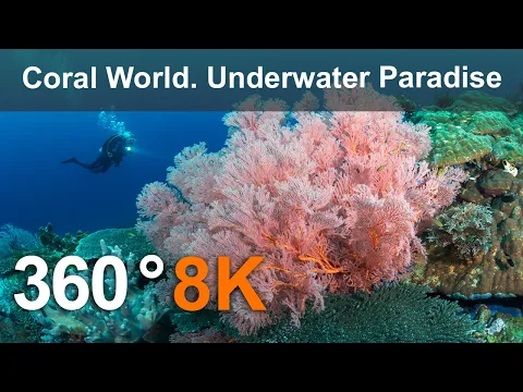 Download MP3 Coral World. Underwater Paradise. Philippines. 360 underwater video in 8K.