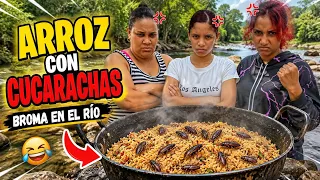 Broma De Las Cucarachas 🪳Falsas 🤣🤣 (SE ENOJAN 😡) 