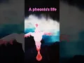 Download Lagu A pheonix's life (roblox feather family) *sorry i did this with the duck too*