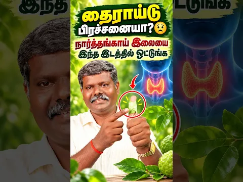 தைராய்டு பிரச்சனையா? 😟 நார்த்தங்காய் இலையை இந்த இடத்தில் ஒட்டுங்க! 🌿 | Muthuselvan #Shorts
