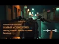 Diablos MC Uncovered History Global Chapters Violent Incidents