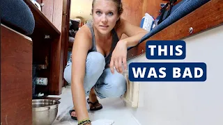 Refinishing the Floor (sole) of our Sailboat // mold removal and paint (+ insulation update) //Ep.46