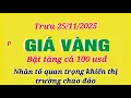 Lagu Giá vàng hôm nay 9999 trưa ngày 25/11/2025- GIÁ VÀNG NHẪN 9999- Bảng giá vàng sjc, 24k 18k