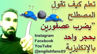 تعلم كيف تقول المصطلح يضرب عصفورين بحجر بالإنجليزية 