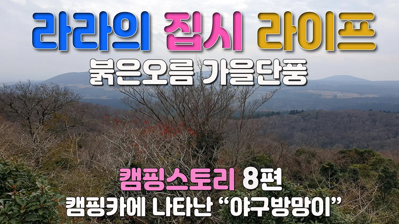 제주도 붉은오름 탐방, 안전한 캠핑카 생활, 캠핑카에 나타난 야구방망이, 제주월드컵 경기장 타임랩스 썸네일