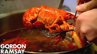 Cooking Lobster with Jeremy Clarkson Gordon Ramsay