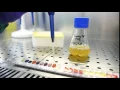 Andrew Ward - Infection Detection