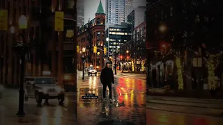 في سكة زمان راجعين   عبد الحليم حافظ حالات واتس دندنها