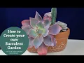How to Make A Succulent Planter - perfect for a sunny windowsill
