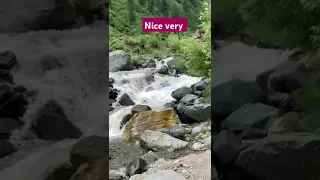 Https Vm Tiktok Com ZGdewaod3 