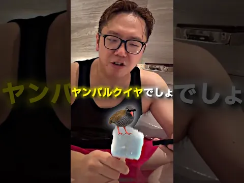 クイヤを知ったかぶりするヒカキン😂😂 #ヒカキン #切り抜き