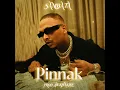 Pinnak - SAMBATA
