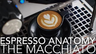 Download ESPRESSO ANATOMY - The Macchiato MP3