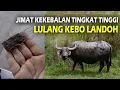 Download Lagu JIMAT LULANG KEBO LANDOH - Untuk Kekebalan Segala Senjata Tajam dan Peluru