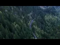 Spirit of the Forest | 5 Minutes Relaxing and Meditation Music | Best of 2020
