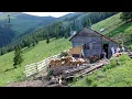 Download Lagu Stâna din Sălhuță de la poalele vârfului INEU, munții RODNEI | Baciu Grigore Ureche Ep.1