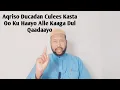 Download Lagu Duco Culees Kasta Oo Jira Alle Kaaga Dulqaadaayo Oo Aad U Gaaban Kafaa,ideyso Oo Hamoogaanin